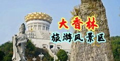黄色视频可看逼逼各种尺寸中国浙江-绍兴大香林旅游风景区
